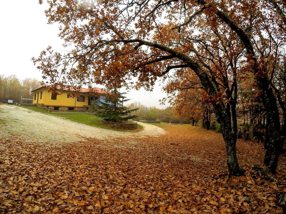 Agramada Bed and Breakfast Αρναία Εξωτερικό φωτογραφία