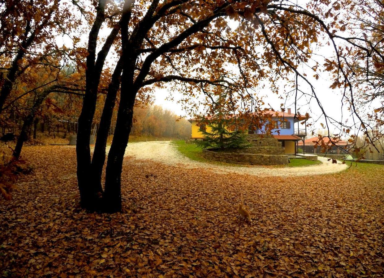 Agramada Bed and Breakfast Αρναία Εξωτερικό φωτογραφία