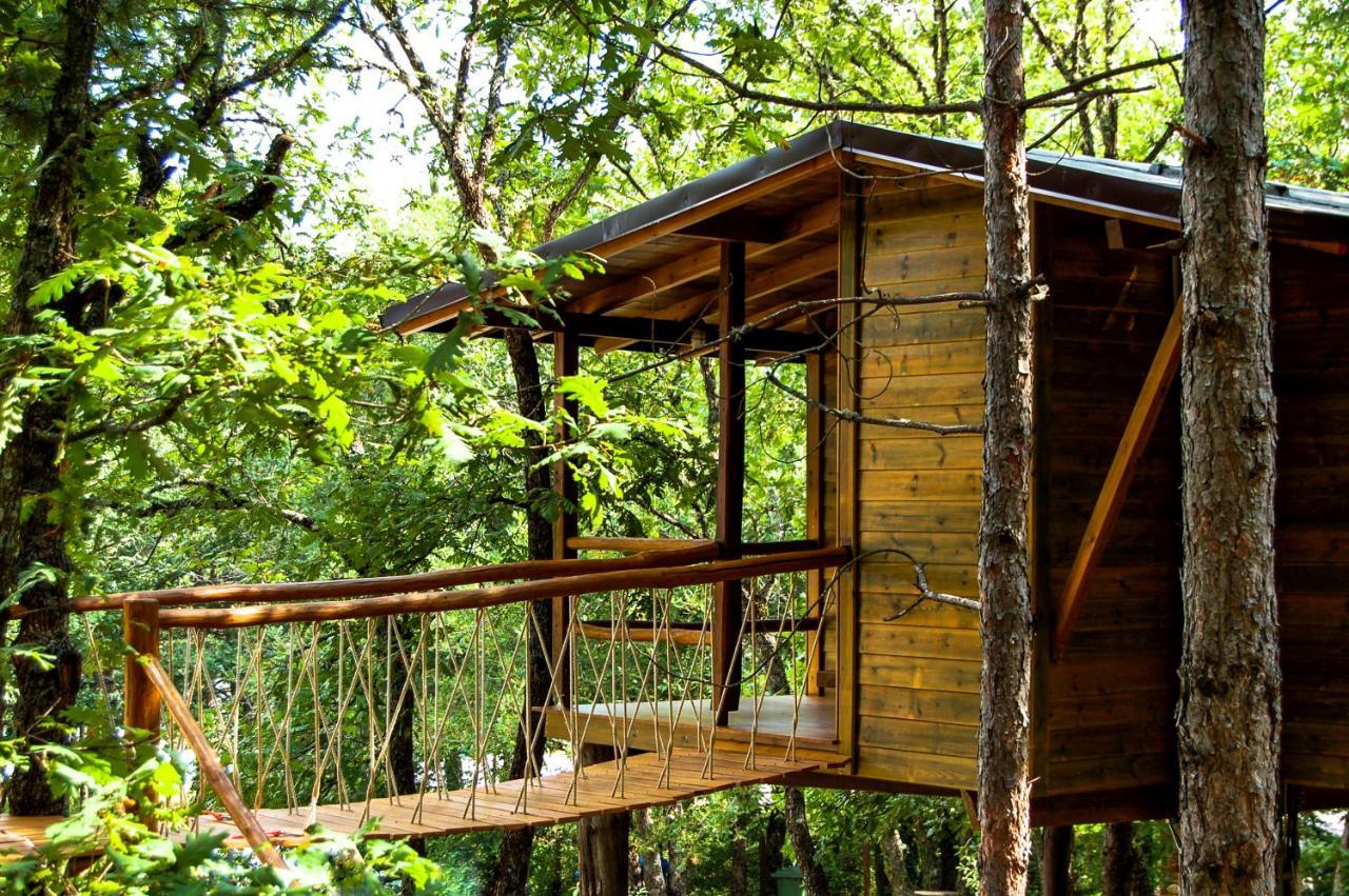 Agramada Bed and Breakfast Αρναία Εξωτερικό φωτογραφία