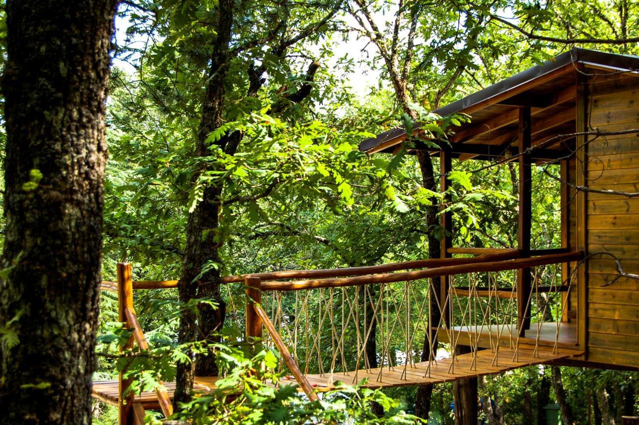 Agramada Bed and Breakfast Αρναία Εξωτερικό φωτογραφία