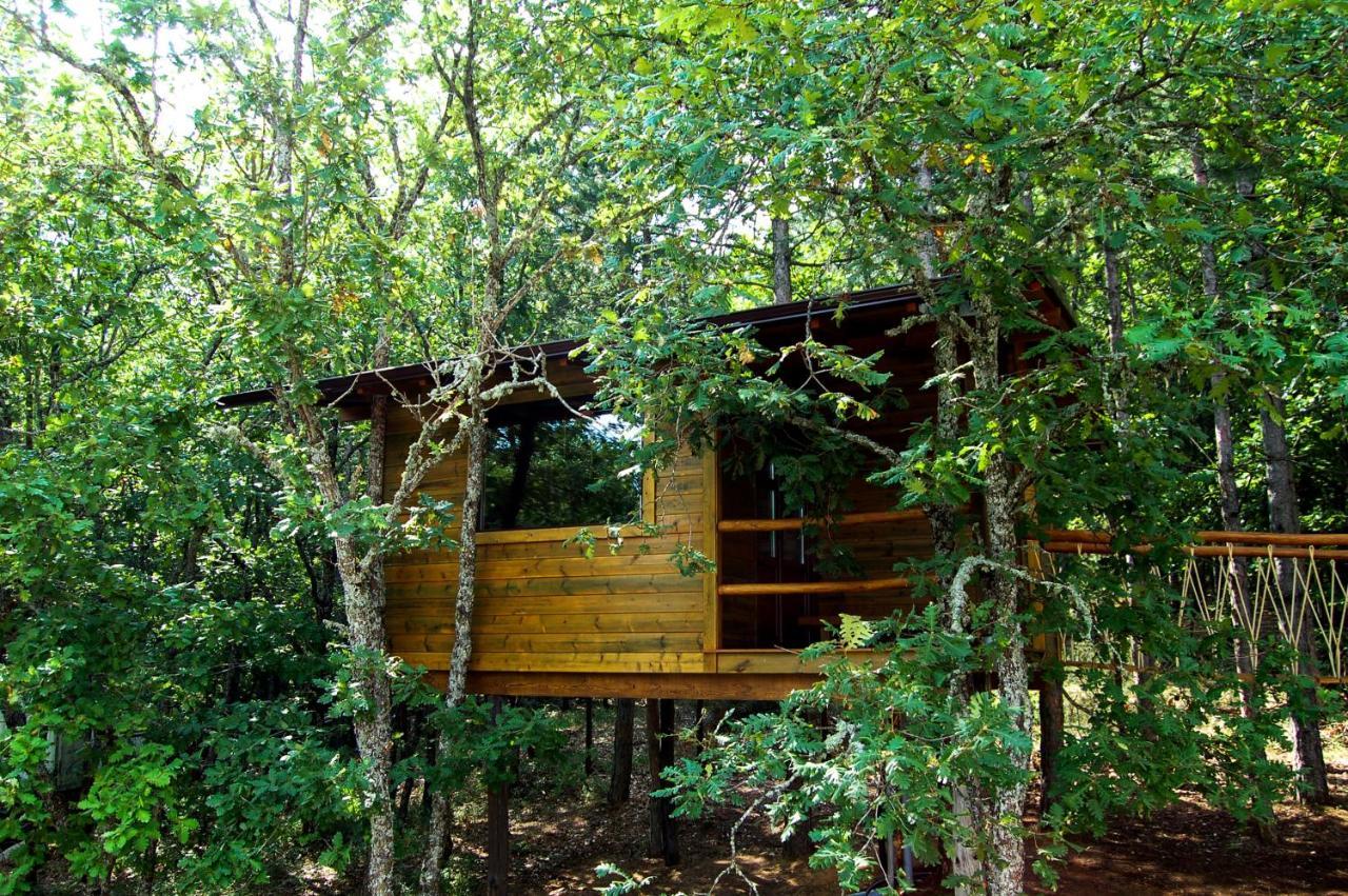 Agramada Bed and Breakfast Αρναία Εξωτερικό φωτογραφία