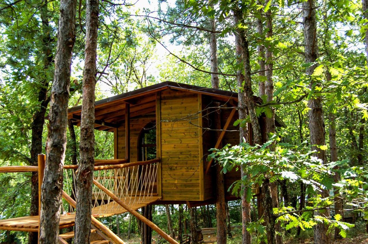Agramada Bed and Breakfast Αρναία Εξωτερικό φωτογραφία
