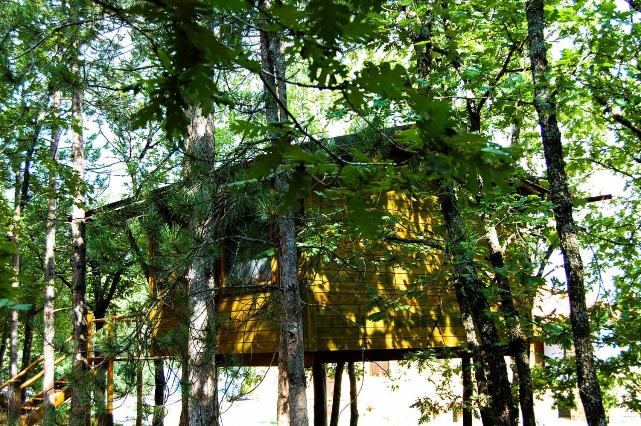 Agramada Bed and Breakfast Αρναία Εξωτερικό φωτογραφία