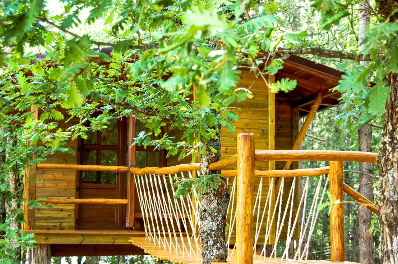 Agramada Bed and Breakfast Αρναία Εξωτερικό φωτογραφία