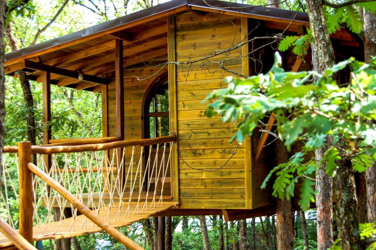 Agramada Bed and Breakfast Αρναία Εξωτερικό φωτογραφία