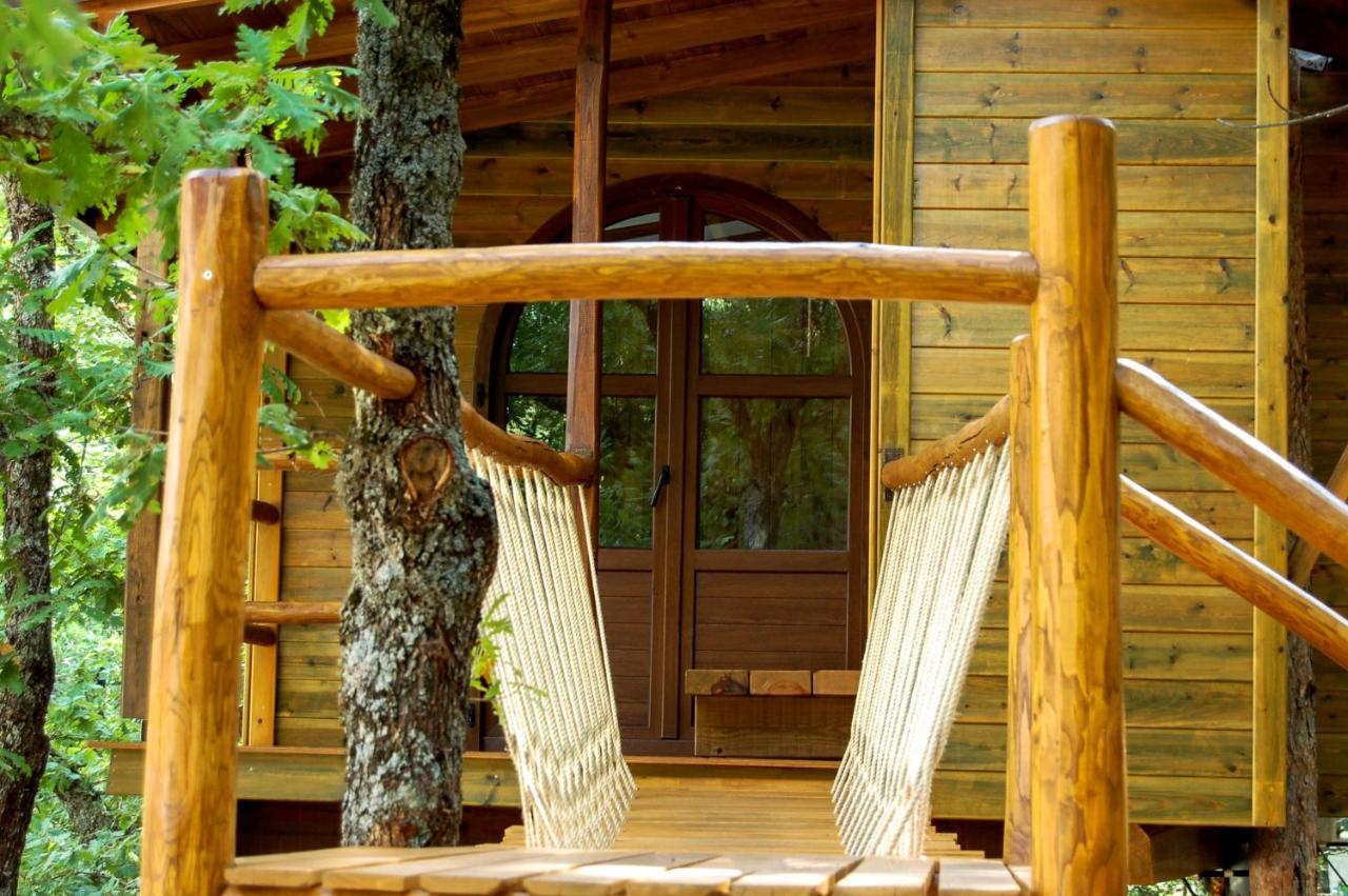 Agramada Bed and Breakfast Αρναία Εξωτερικό φωτογραφία