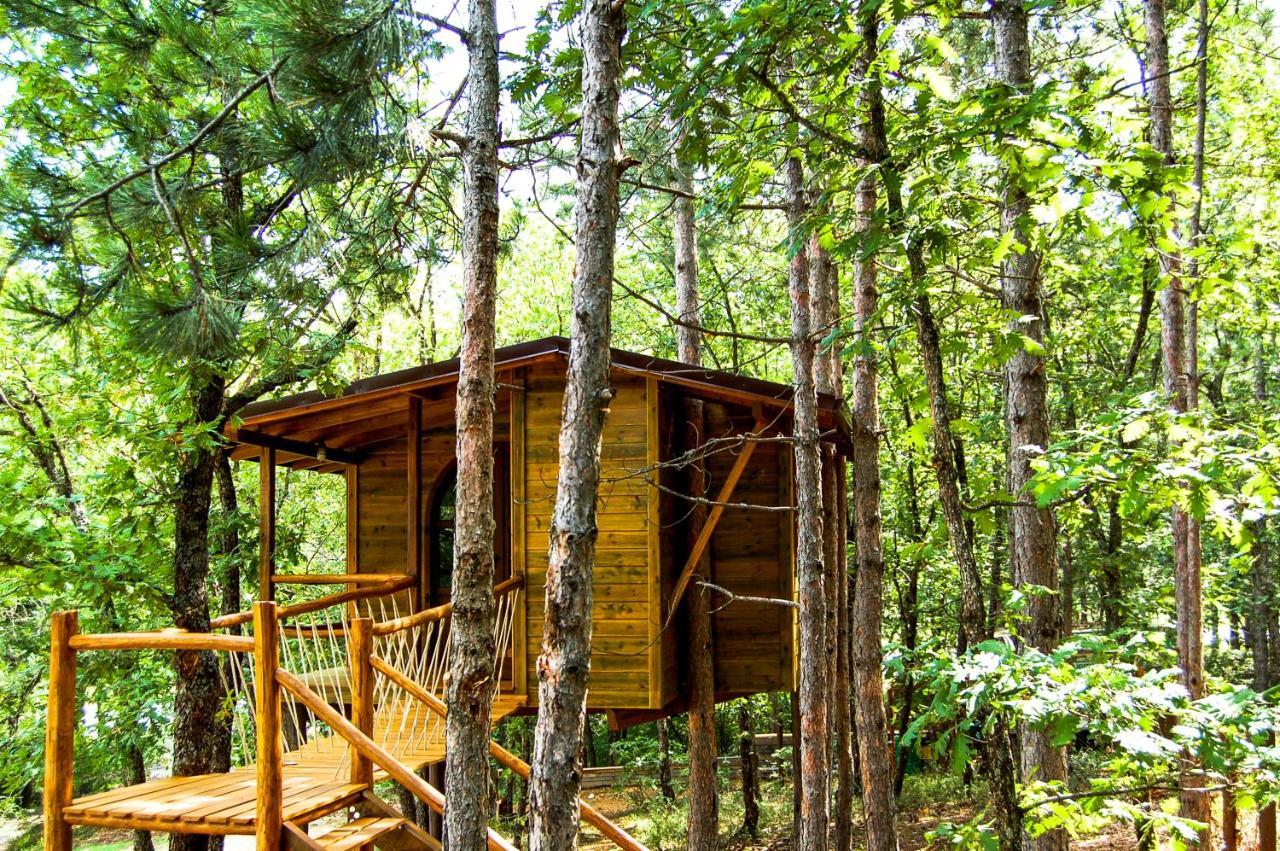 Agramada Bed and Breakfast Αρναία Εξωτερικό φωτογραφία