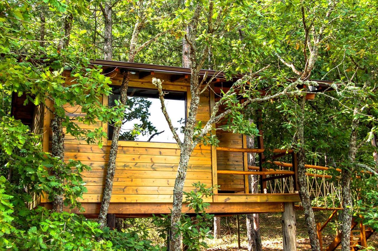 Agramada Bed and Breakfast Αρναία Εξωτερικό φωτογραφία
