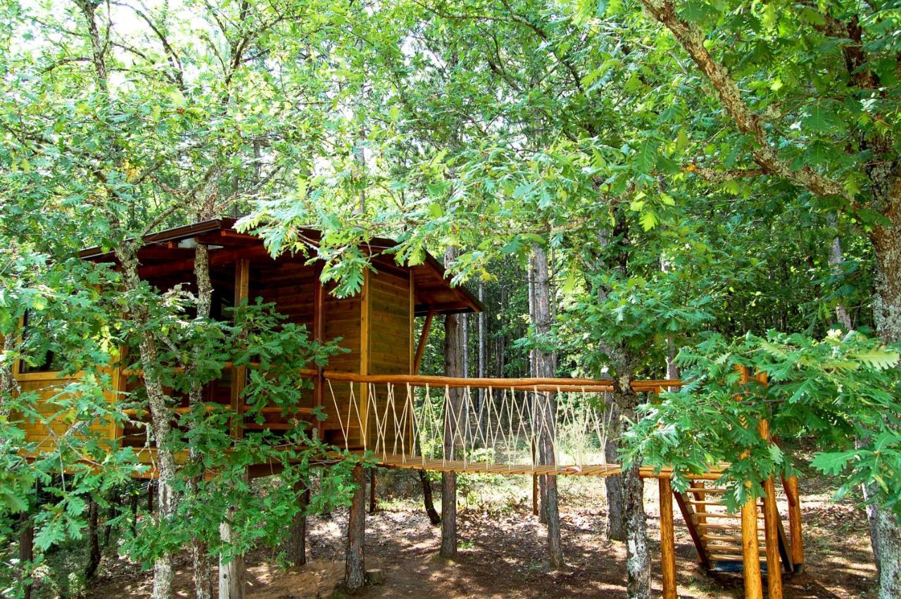 Agramada Bed and Breakfast Αρναία Εξωτερικό φωτογραφία